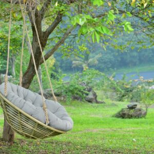 Turtle Hanging Chair