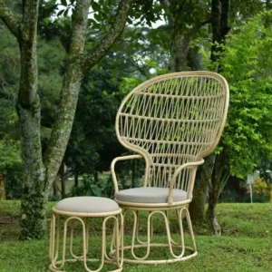 Buano Occasional chair